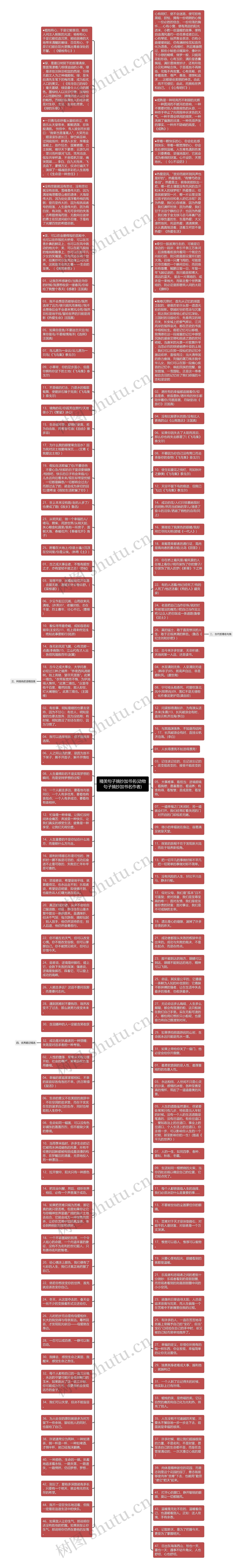 精美句子摘抄加书名(动物句子摘抄加书名作者)