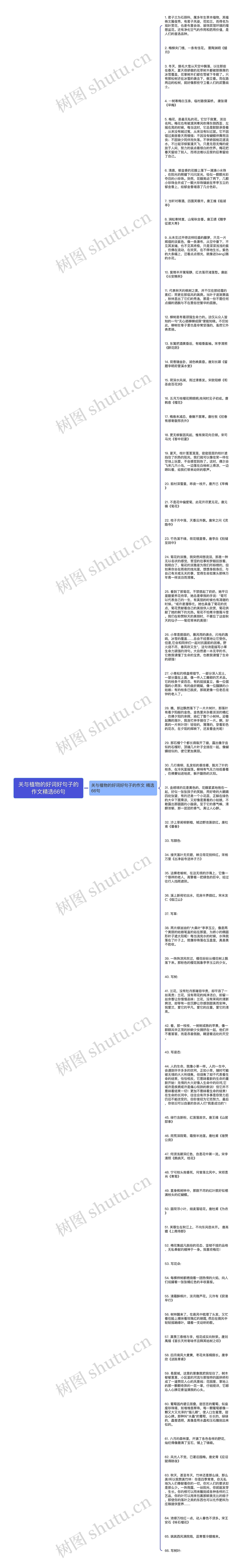 关与植物的好词好句子的作文精选66句