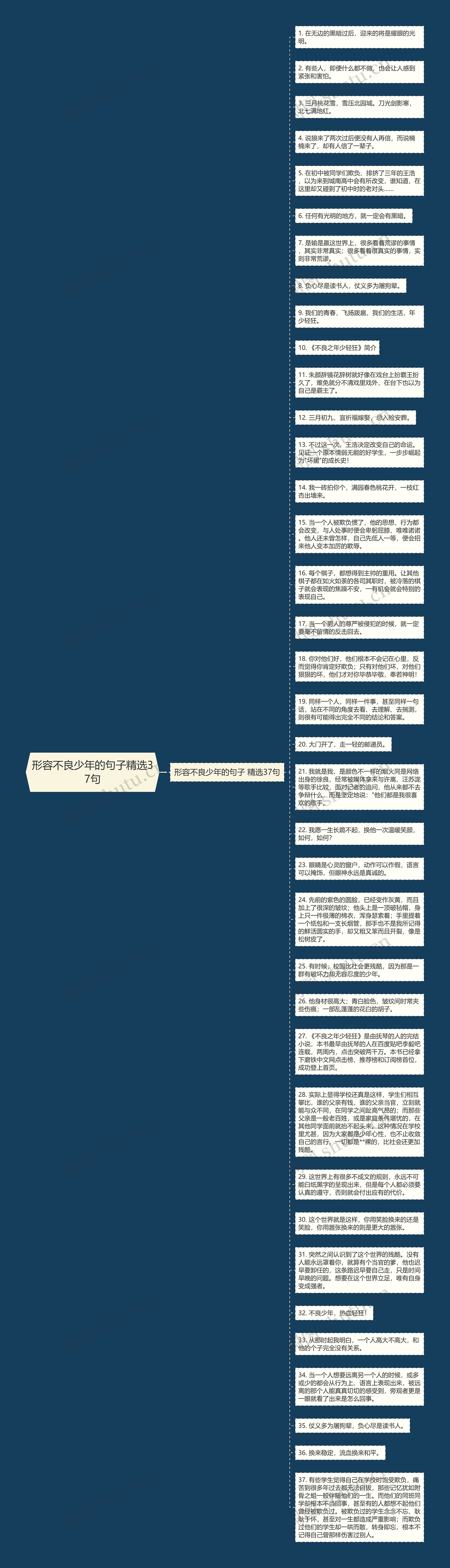 形容不良少年的句子精选37句思维导图高清图 形容不良少年的句子精选37句思维导图