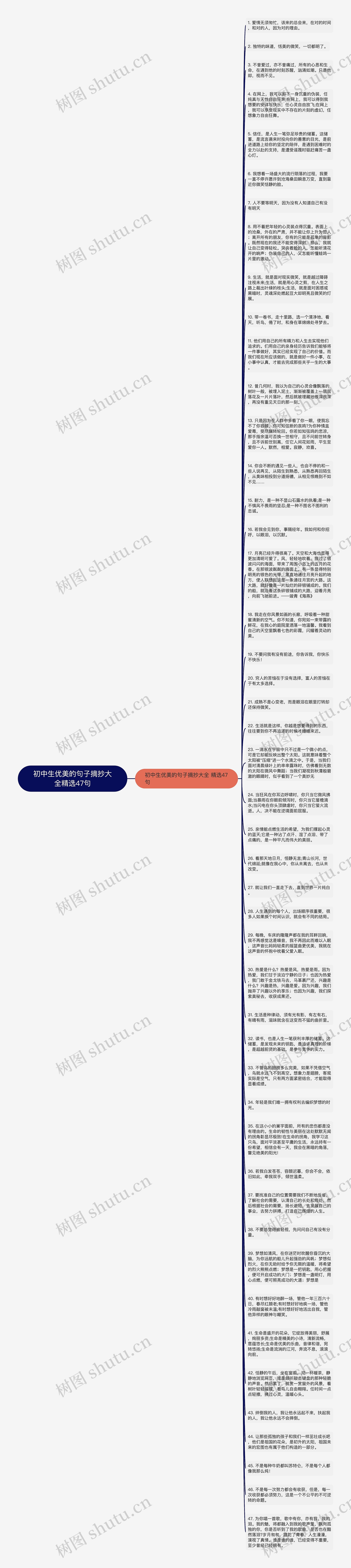 初中生优美的句子摘抄大全精选47句思维导图