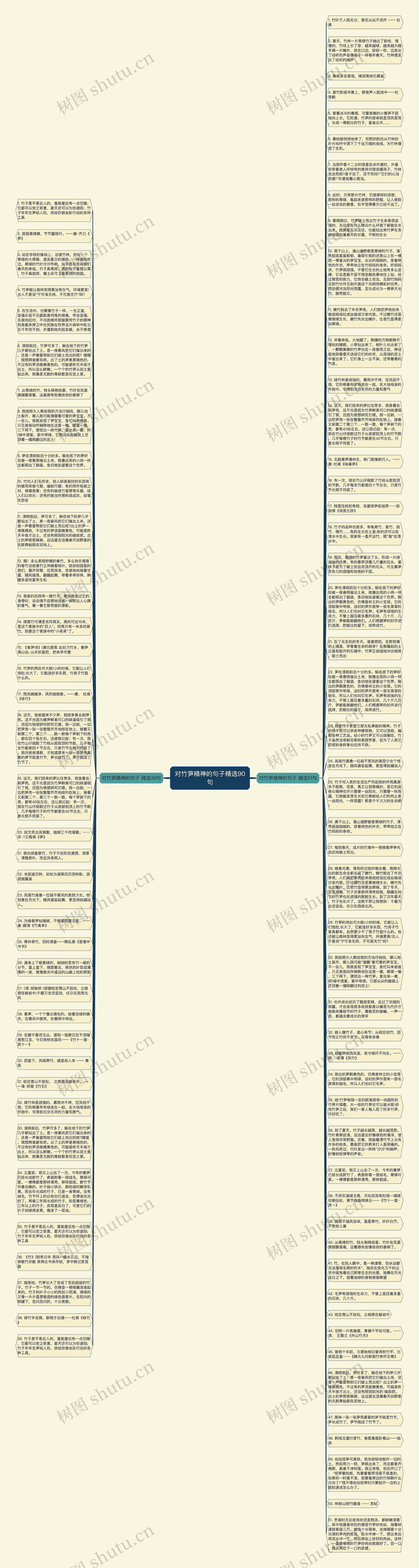 对竹笋精神的句子精选90句思维导图