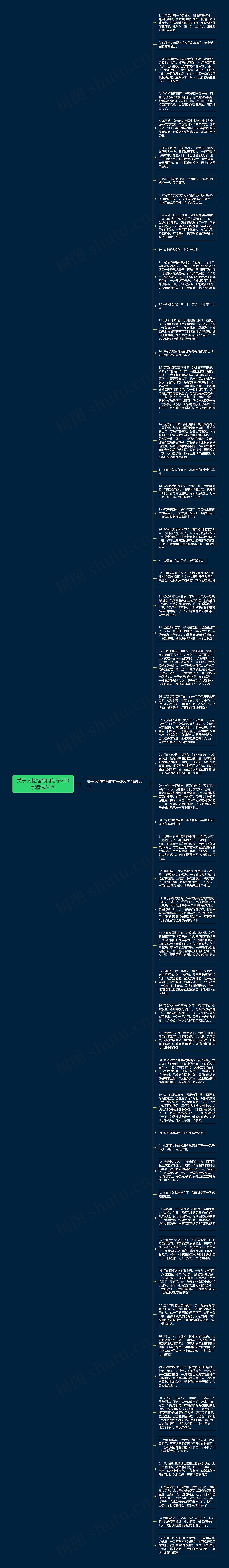 关于人物描写的句子200字精选54句思维导图