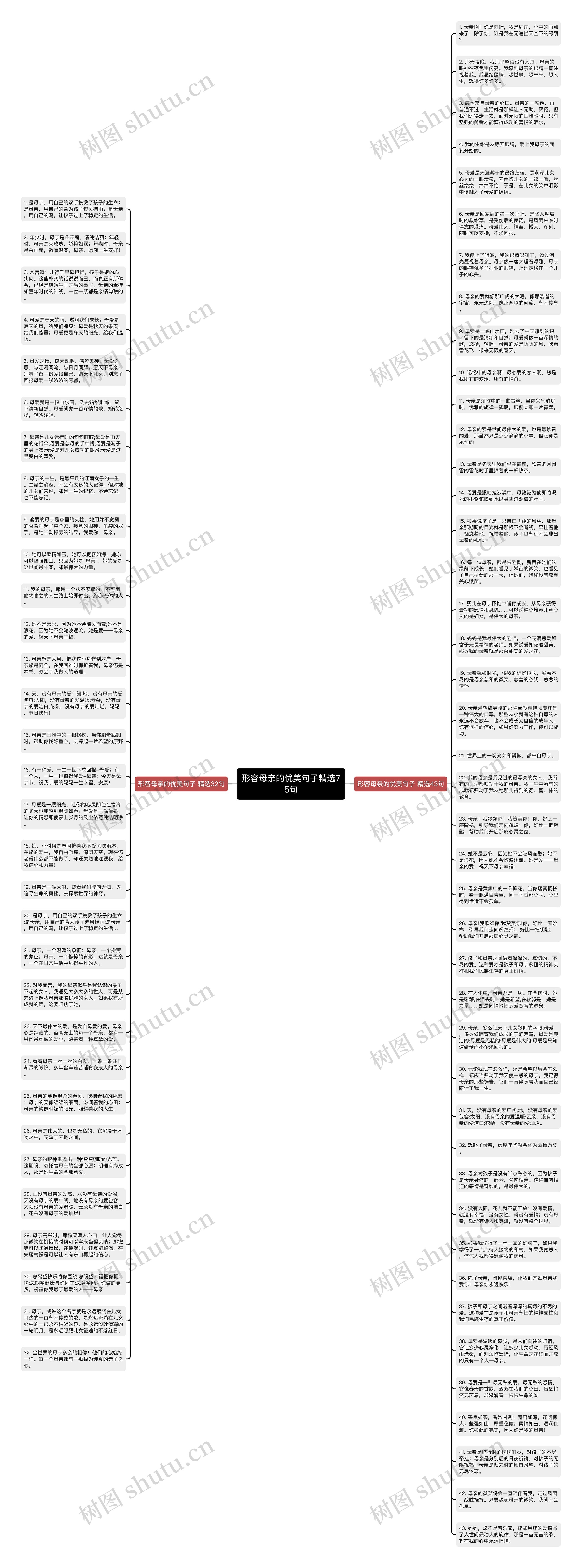 形容母亲的优美句子精选75句思维导图