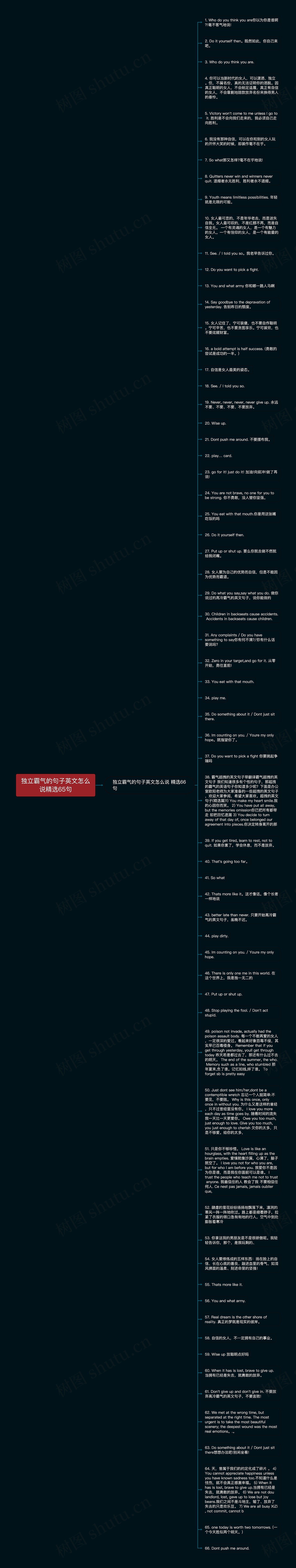 独立霸气的句子英文怎么说精选65句