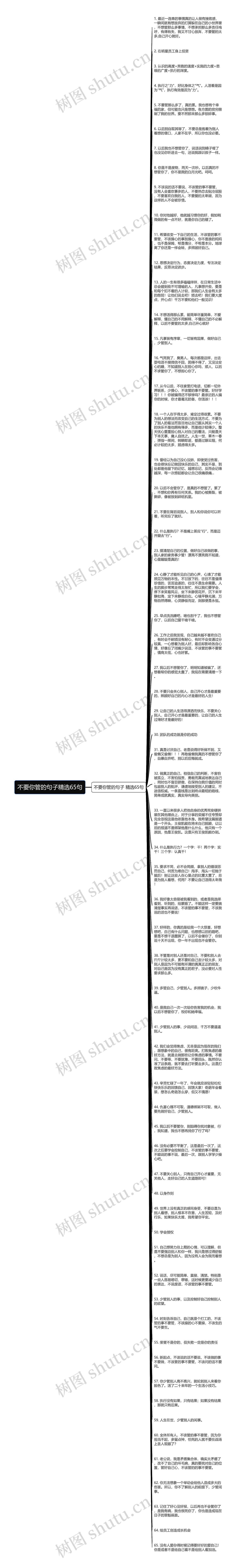 不要你管的句子精选65句思维导图