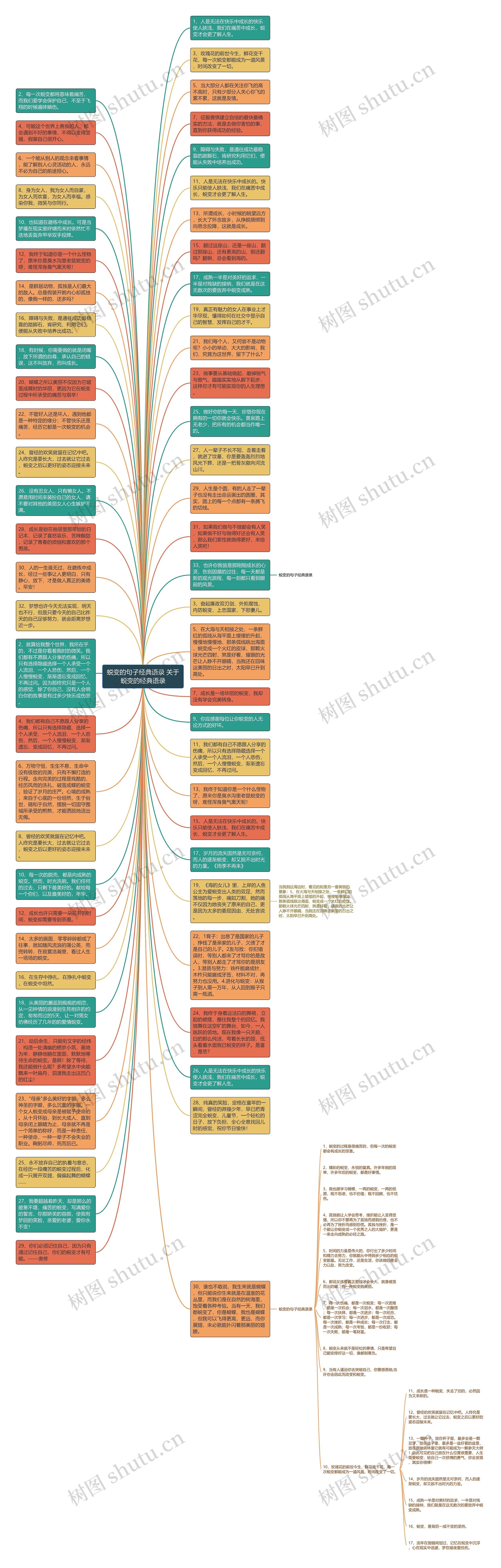 蜕变的句子经典语录 关于蜕变的经典语录思维导图