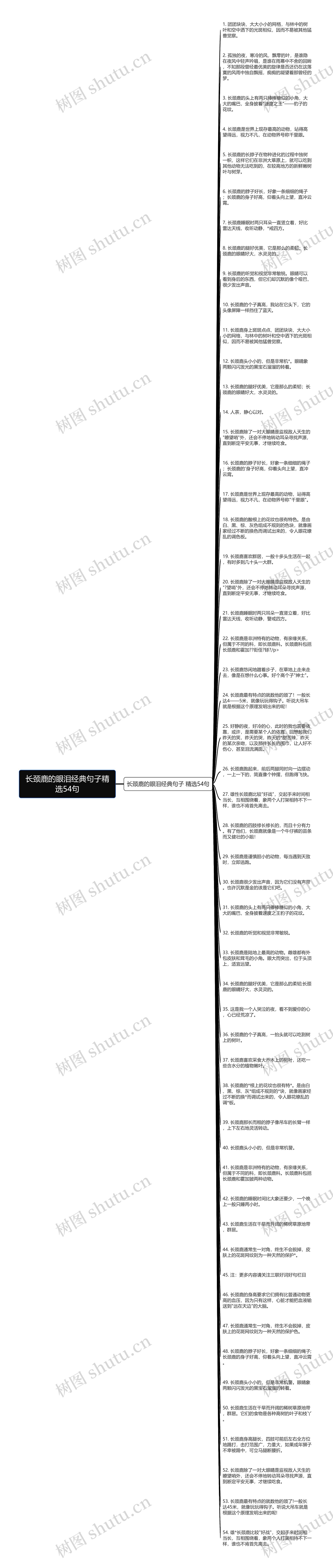 长颈鹿的眼泪经典句子精选54句思维导图