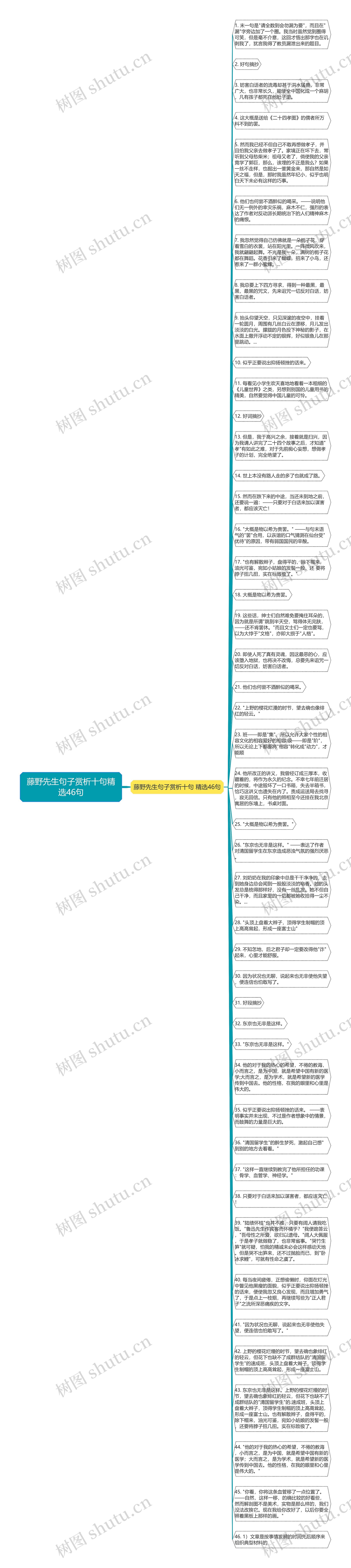 藤野先生句子赏析十句精选46句思维导图