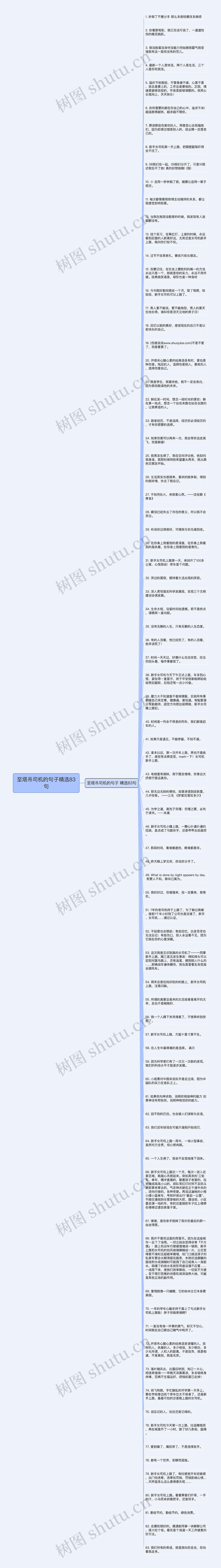 至塔吊司机的句子精选83句思维导图