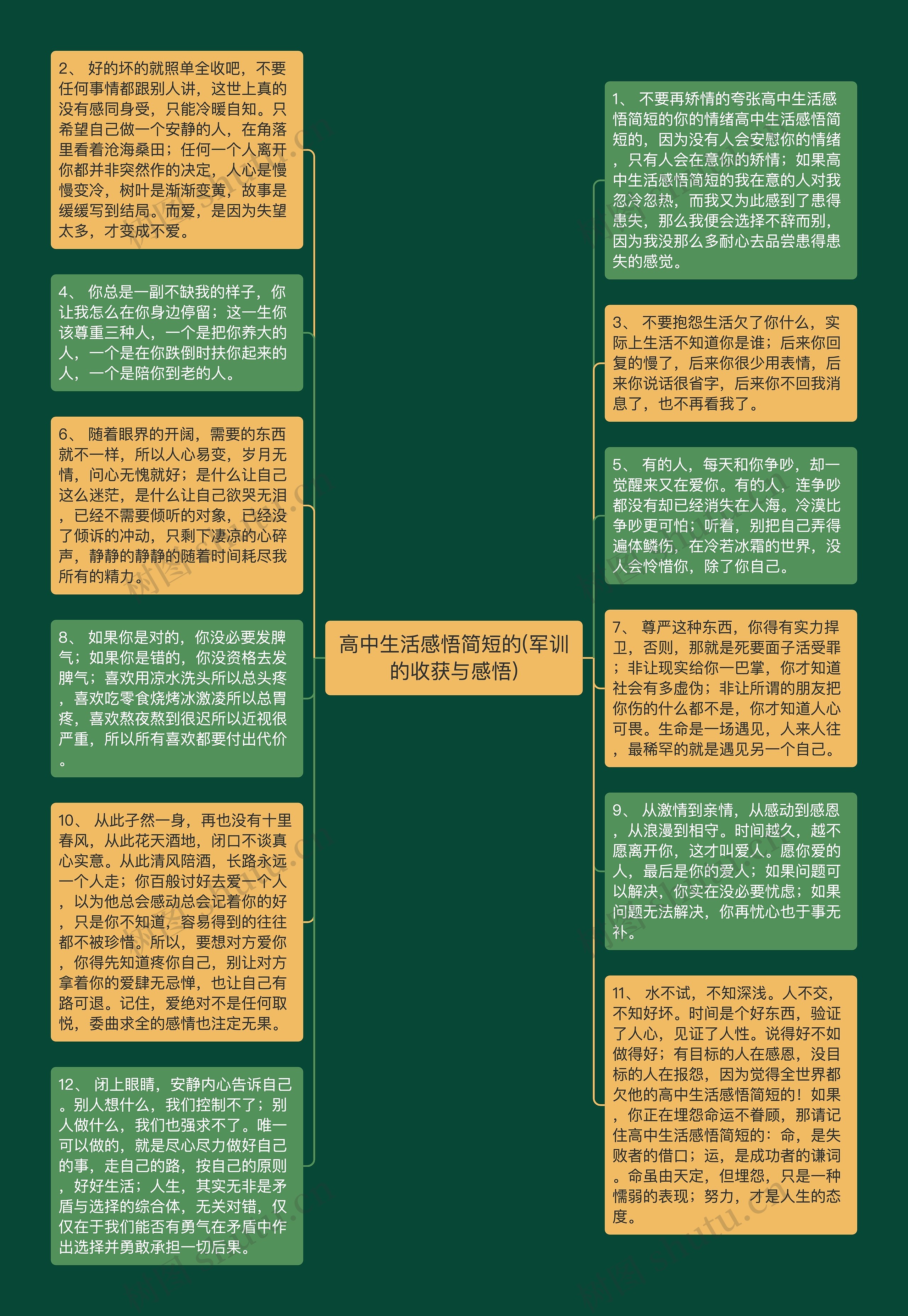 高中生活感悟简短的(军训的收获与感悟)思维导图