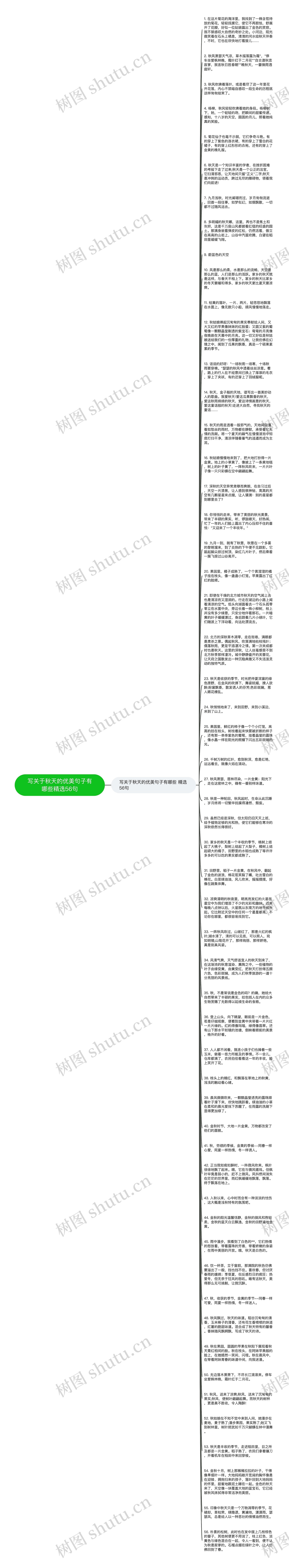 写关于秋天的优美句子有哪些精选56句思维导图