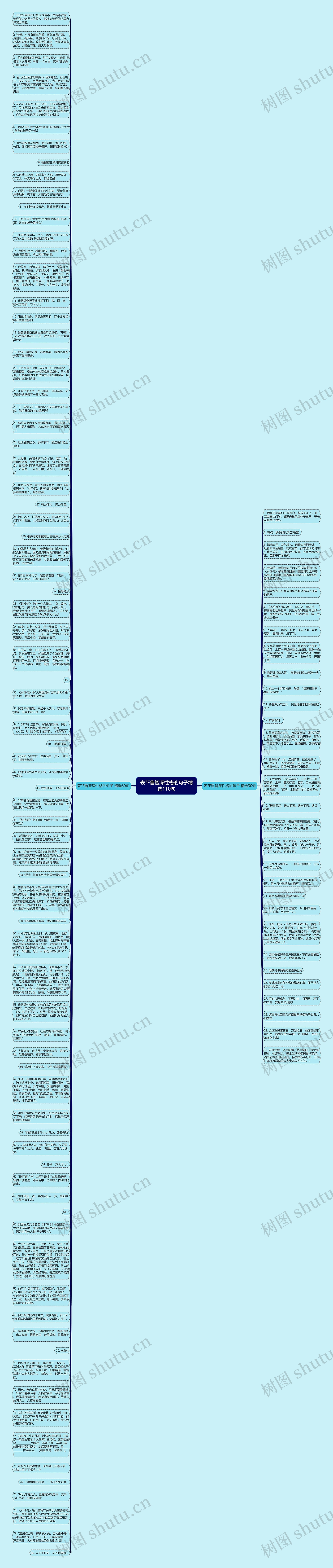 表?F鲁智深性格的句子精选110句思维导图