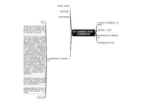 高一生活感悟怎么写(高一生活感悟800字)