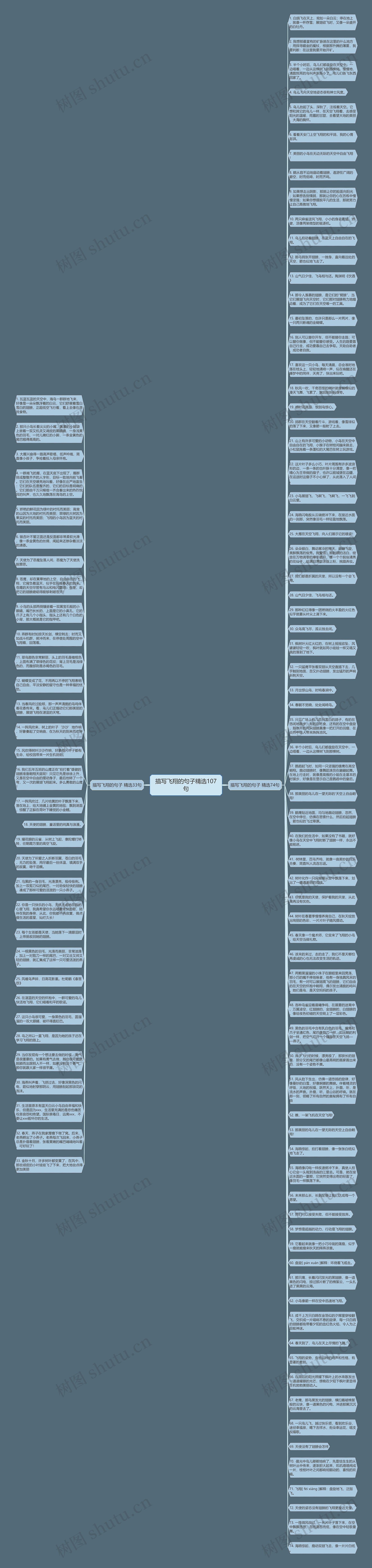 描写飞翔的句子精选107句思维导图