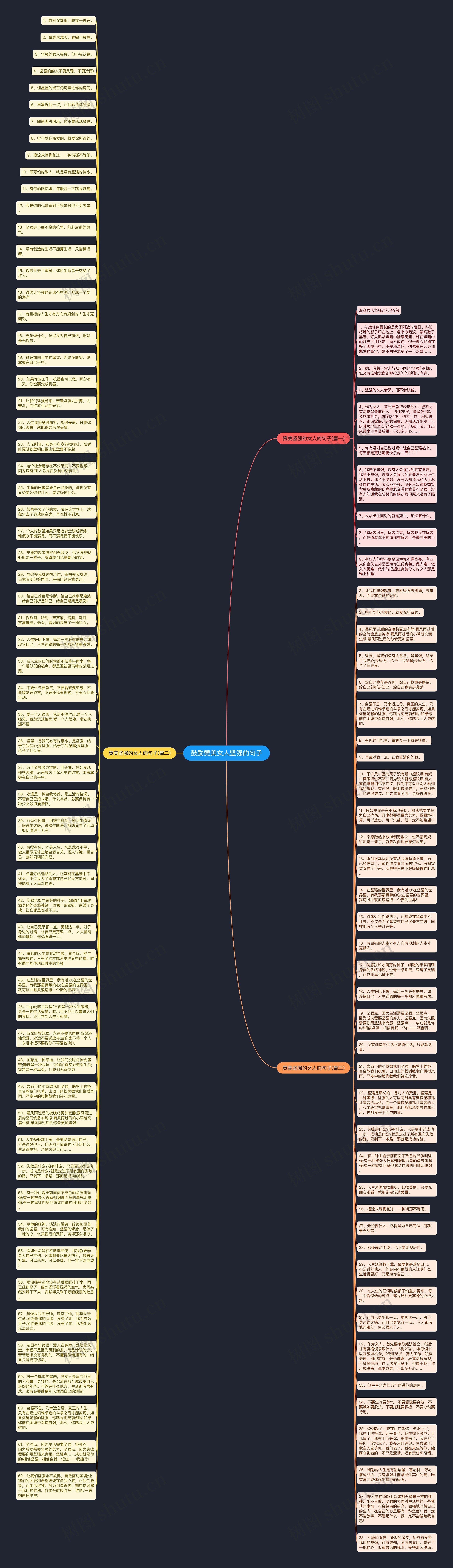 鼓励赞美女人坚强的句子思维导图