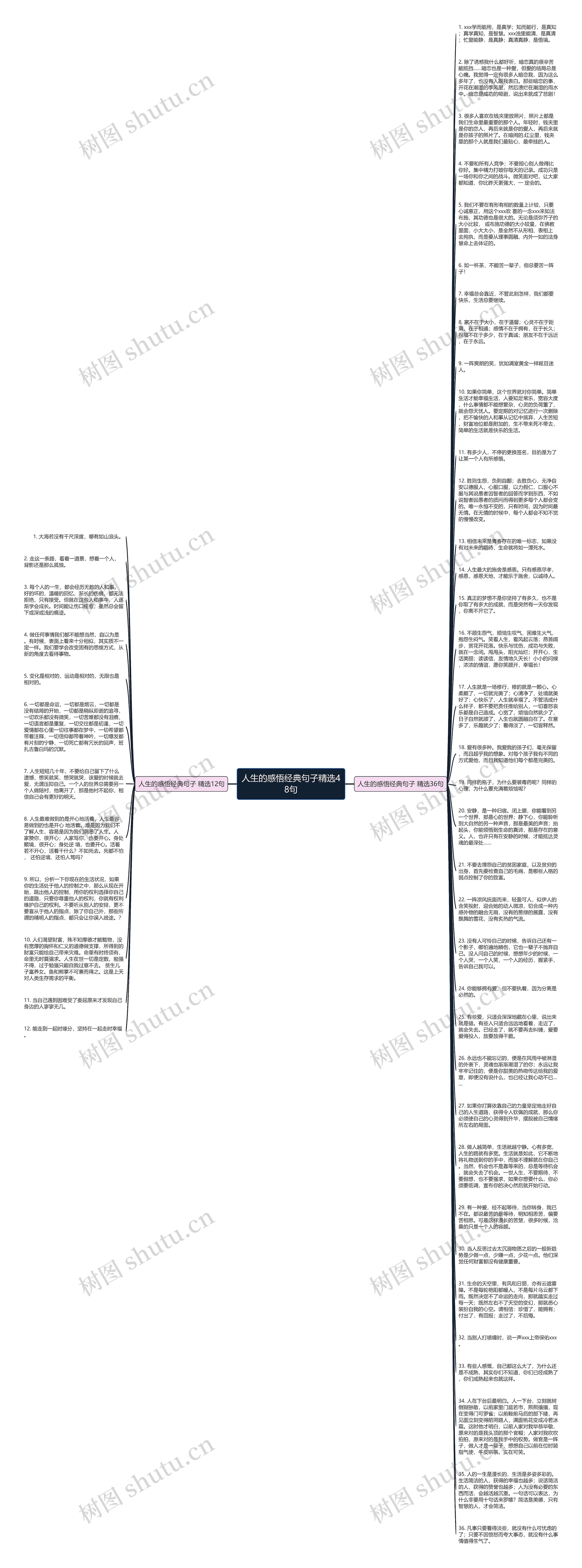 人生的感悟经典句子精选48句思维导图
