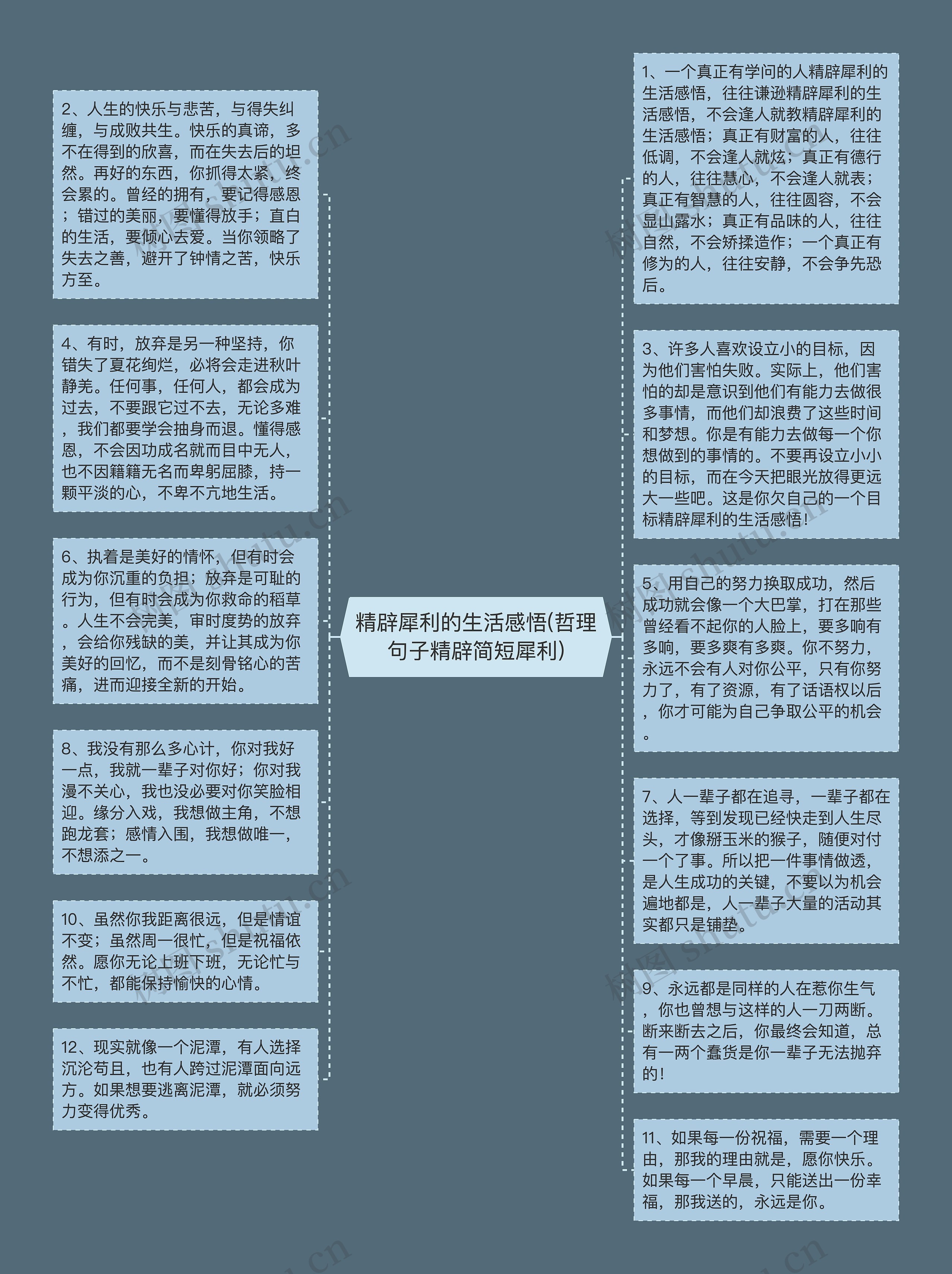 精辟犀利的生活感悟(哲理句子精辟简短犀利)思维导图