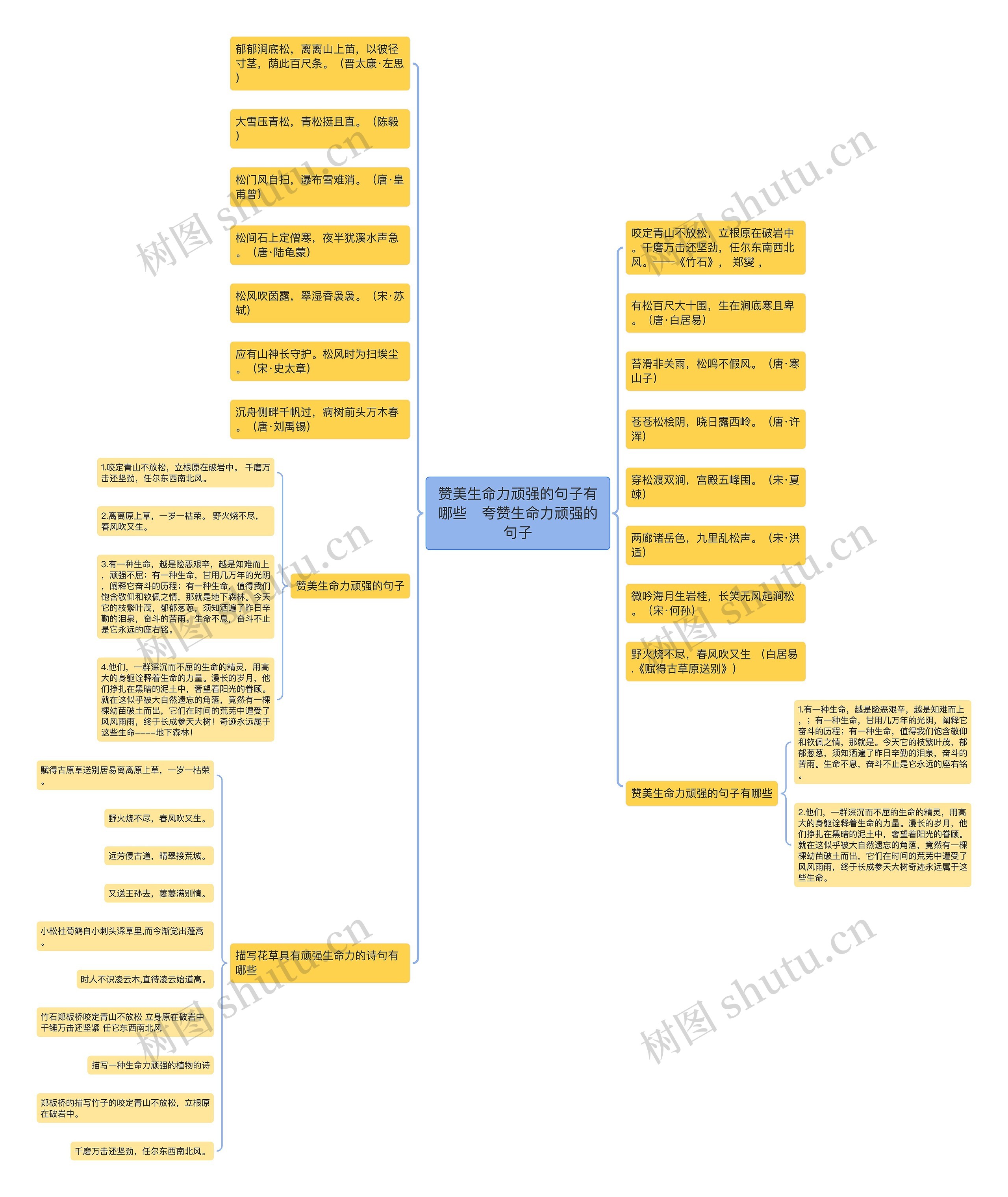 赞美生命力顽强的句子有哪些 夸赞生命力顽强的句子 赞美生命力顽强的句子有哪些 夸赞生命力顽强的句子