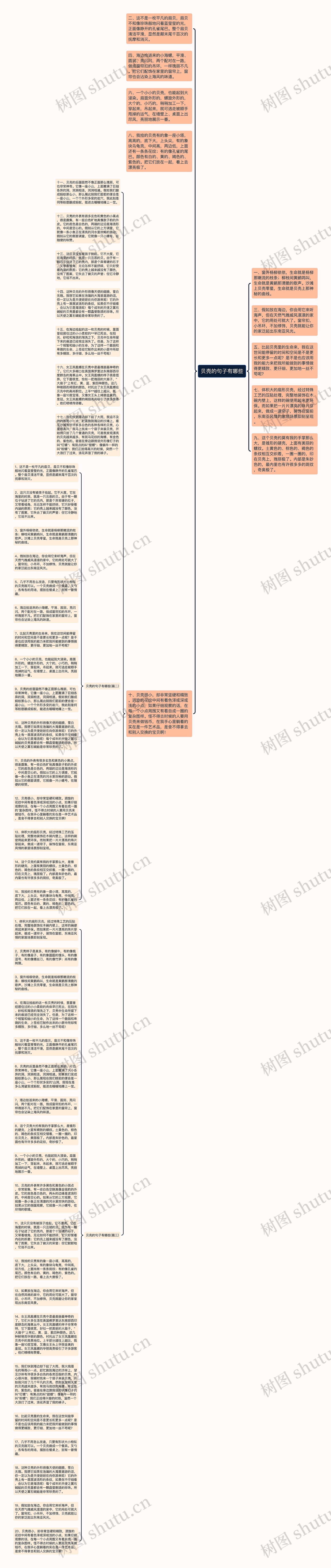 贝壳的句子有哪些思维导图