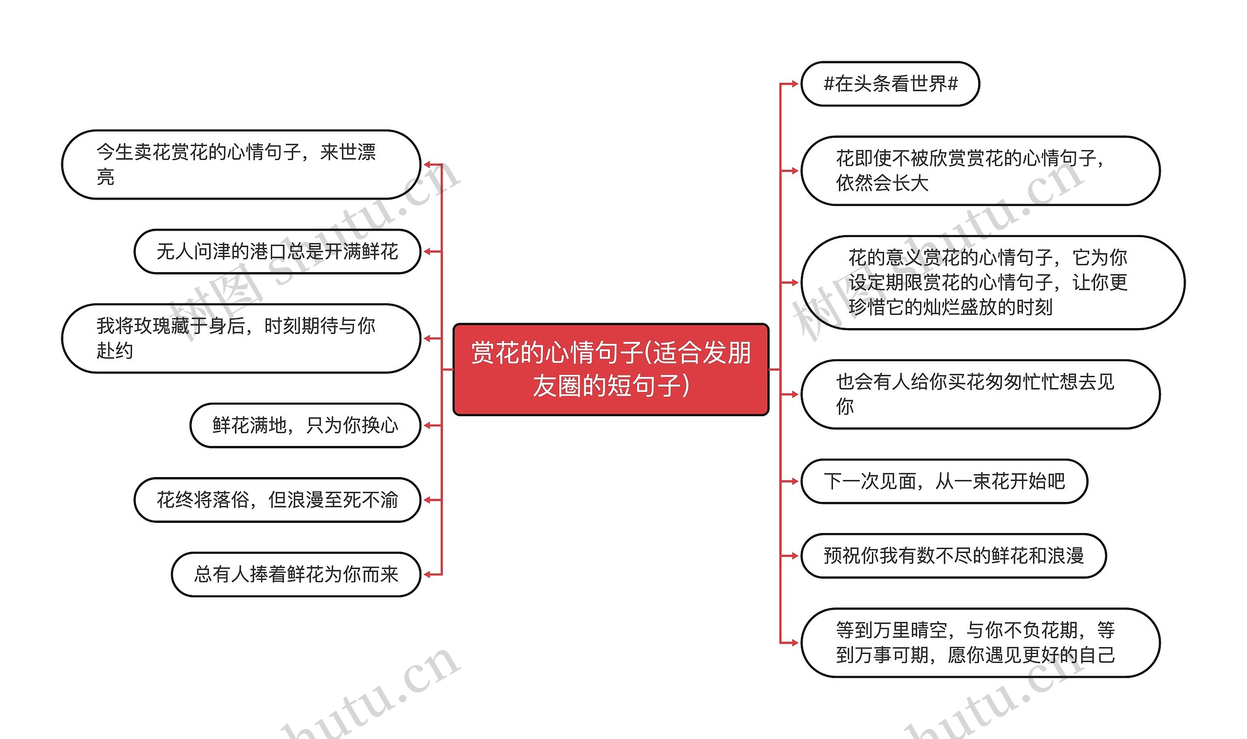 赏花的心情句子(适合发朋友圈的短句子)