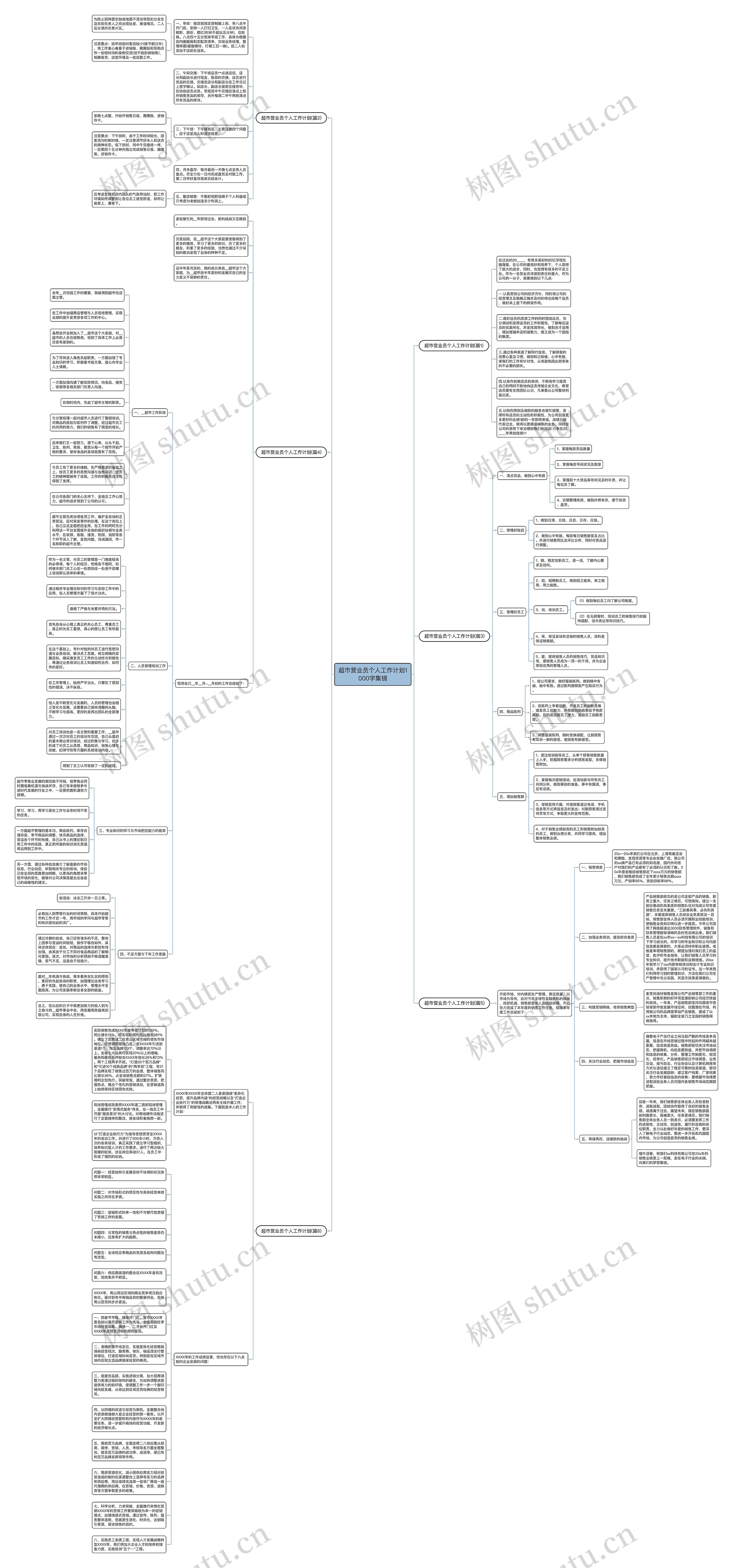 超市营业员个人工作计划1000字集锦思维导图