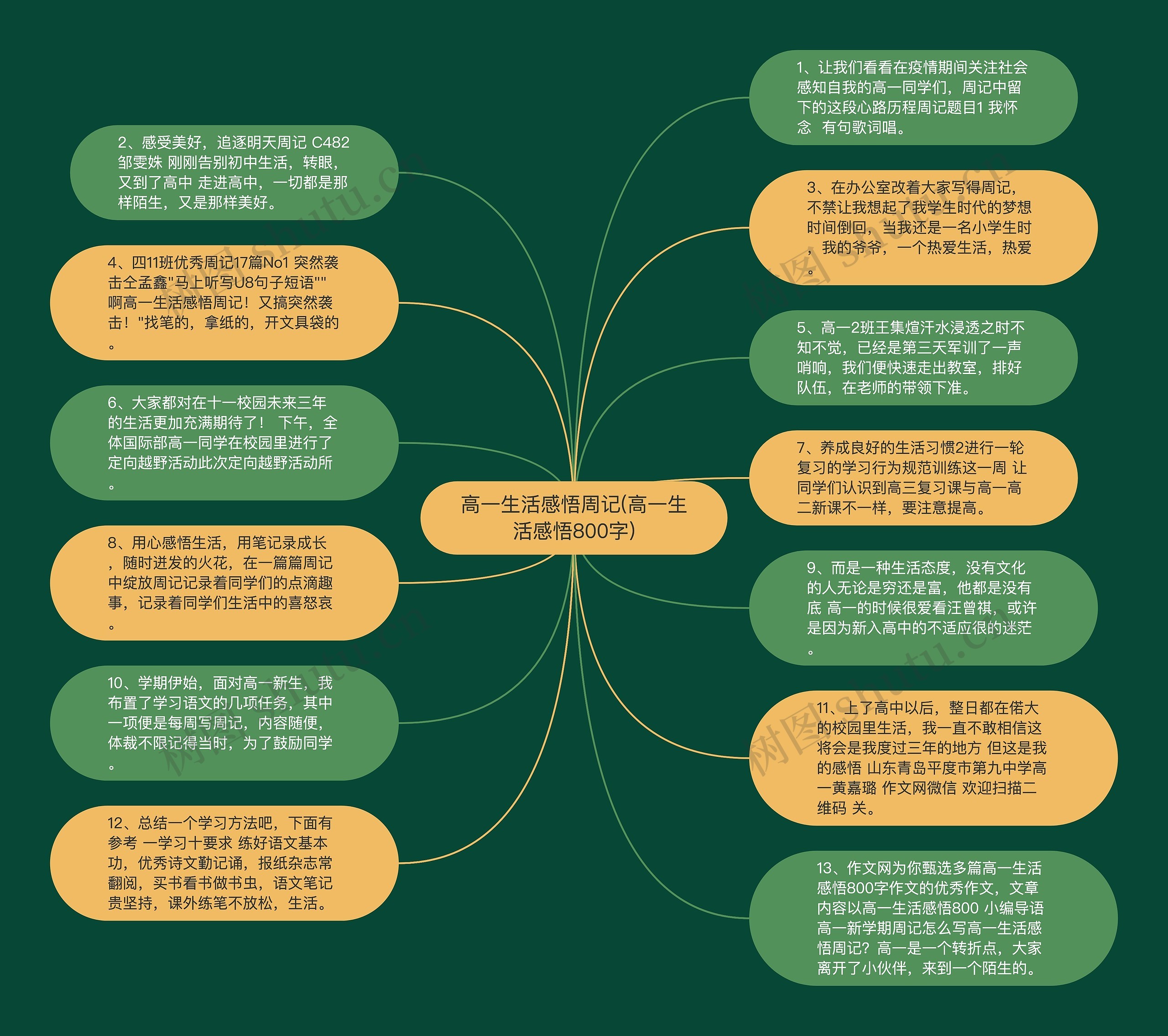 高一生活感悟周记(高一生活感悟800字)思维导图