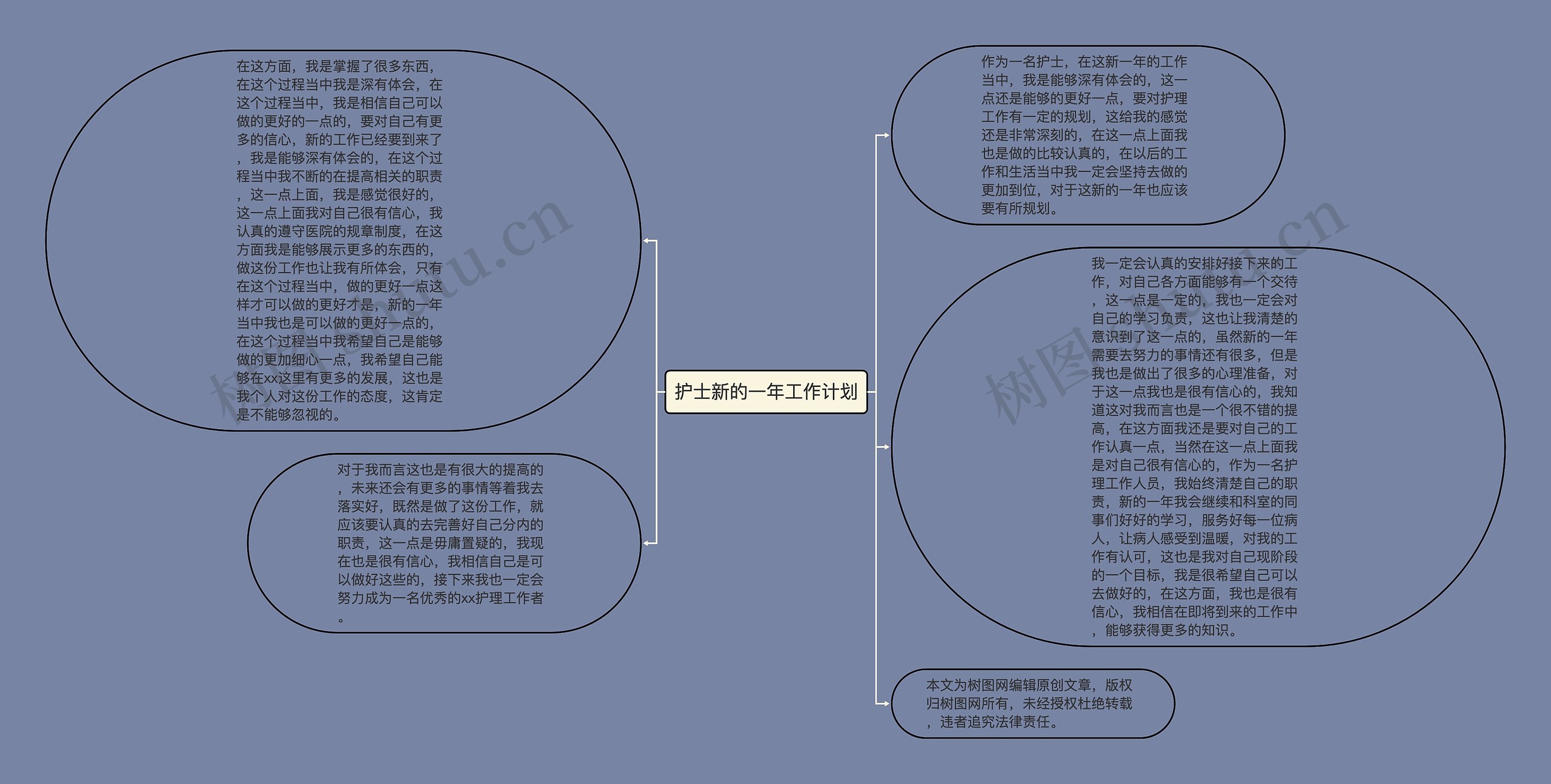 护士新的一年工作计划