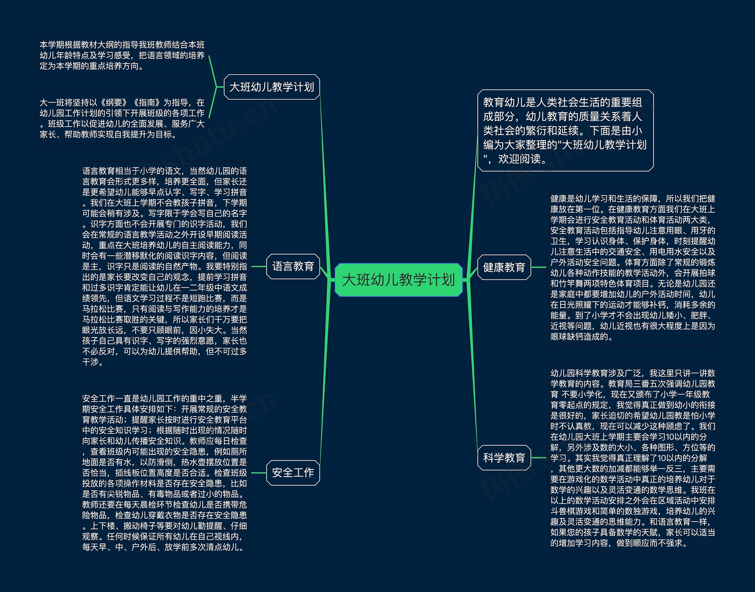 大班幼儿教学计划思维导图