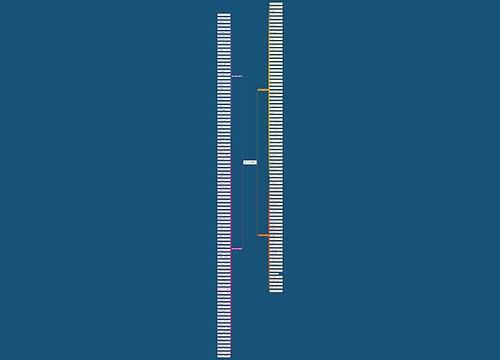 关于节日的古句子精选181句