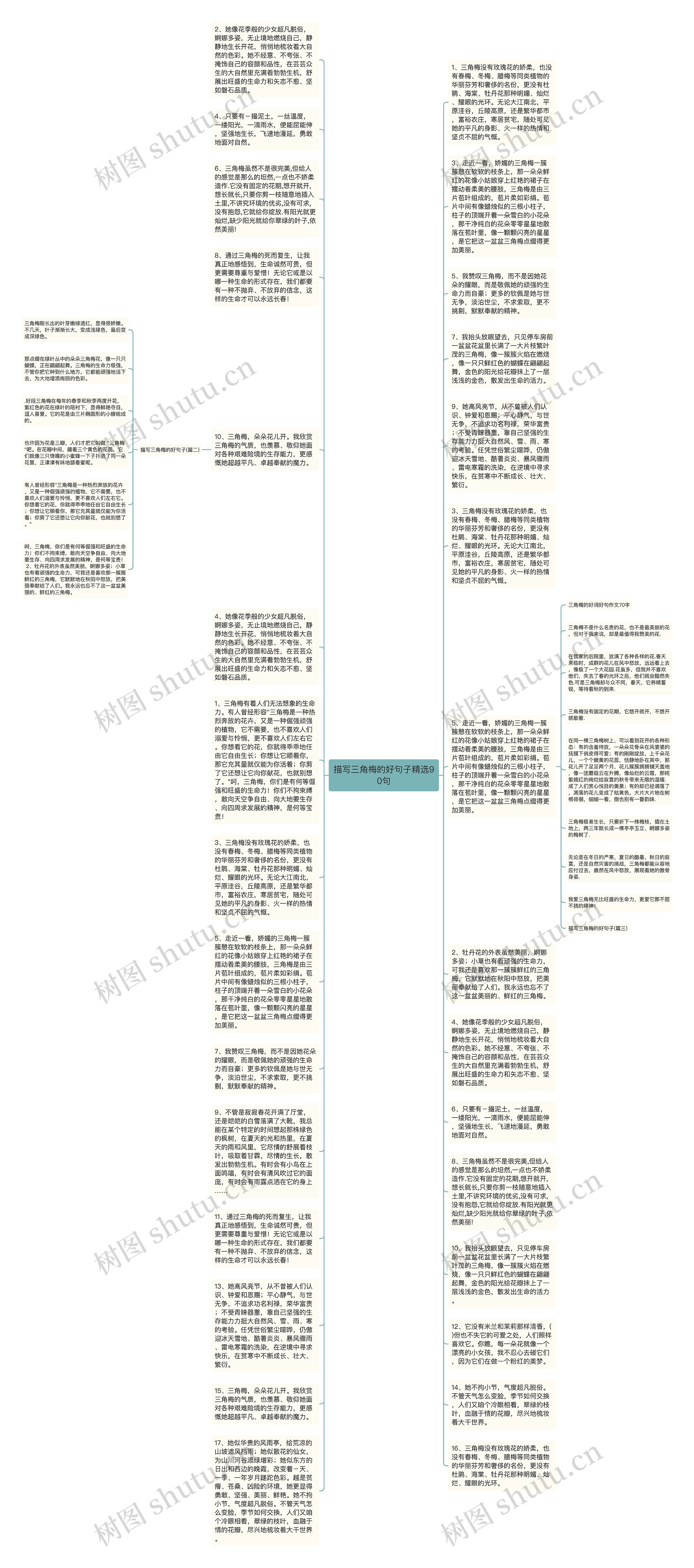 描写三角梅的好句子精选90句思维导图