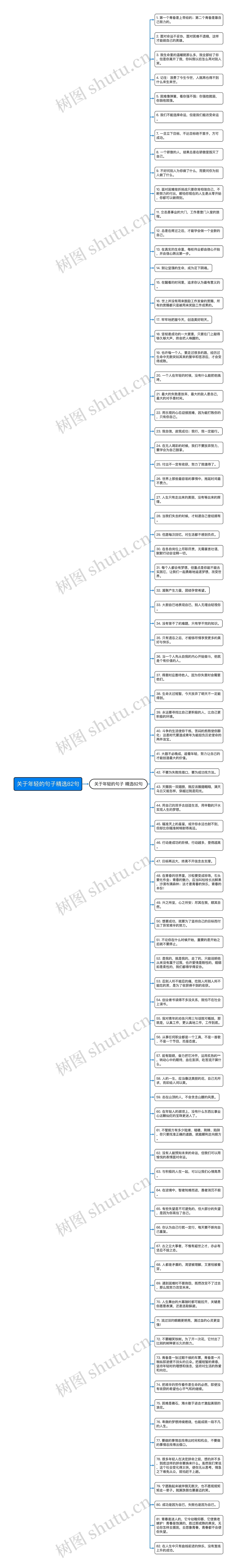 关于年轻的句子精选82句思维导图