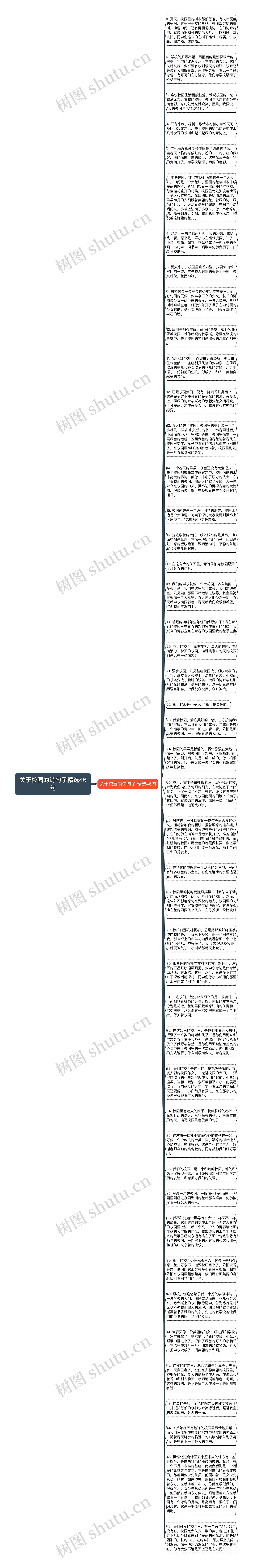 关于校园的诗句子精选46句思维导图