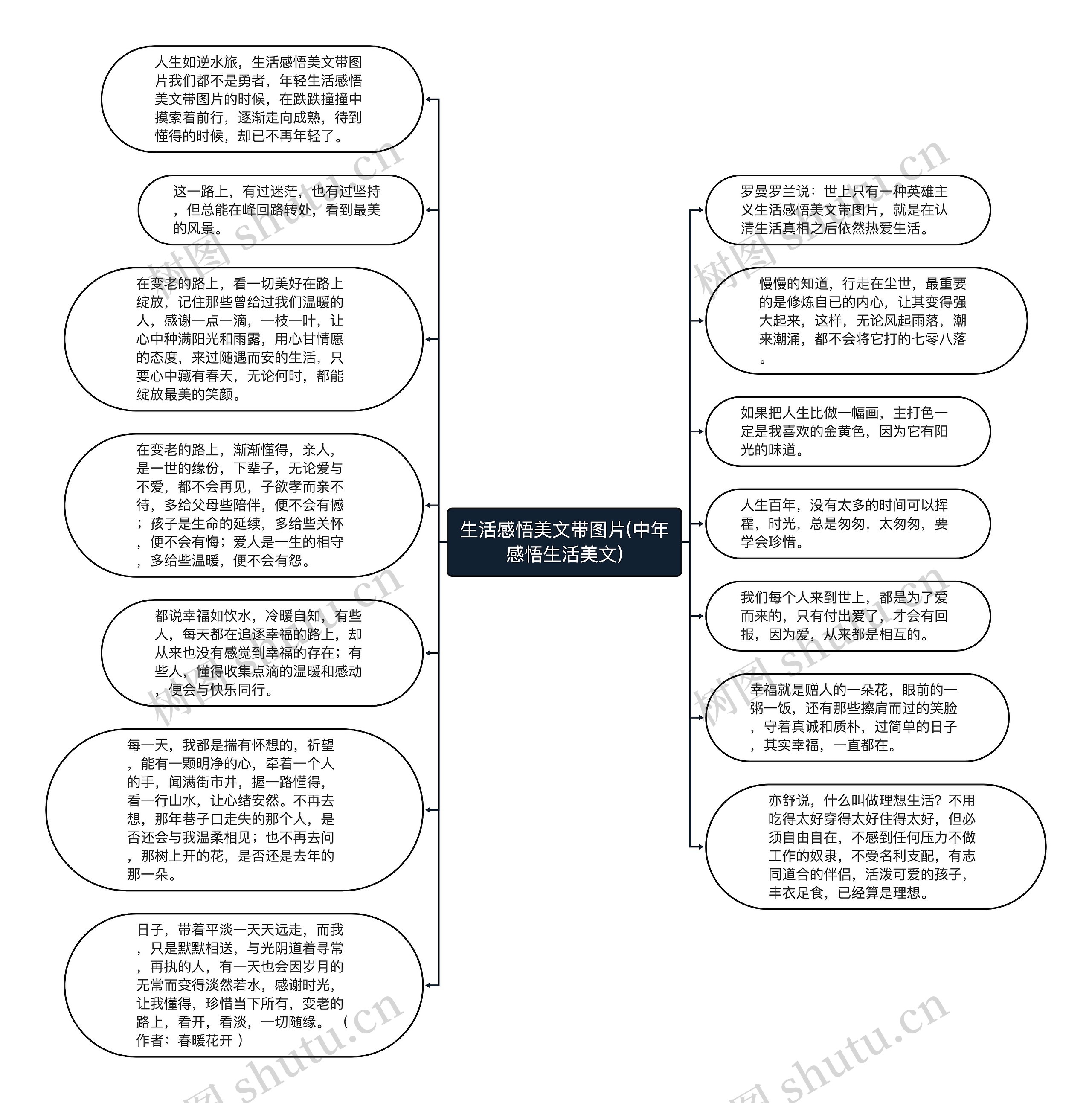 生活感悟美文带图片(中年感悟生活美文)