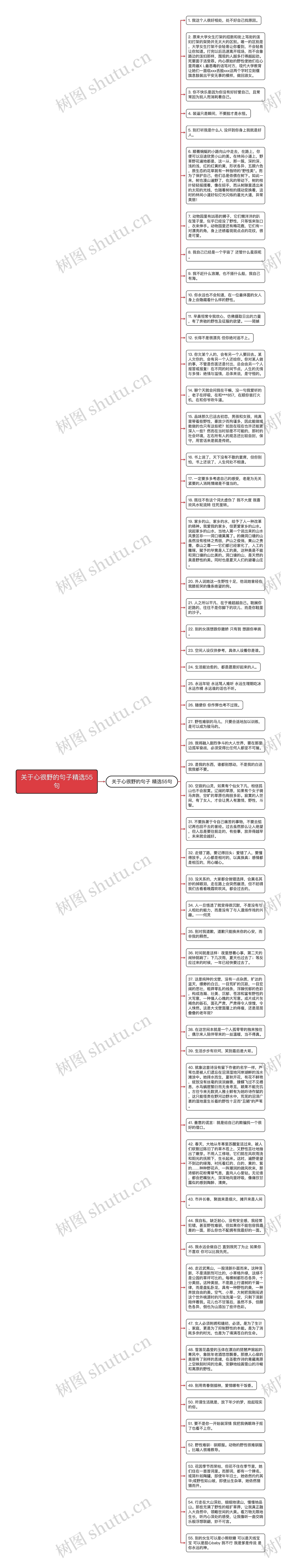 关于心很野的句子精选55句思维导图