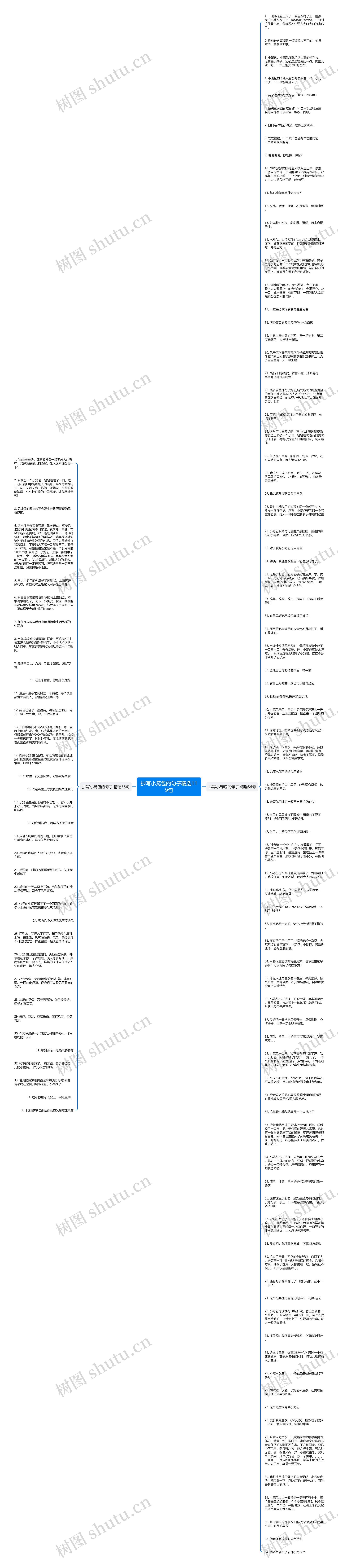 抄写小笼包的句子精选119句思维导图