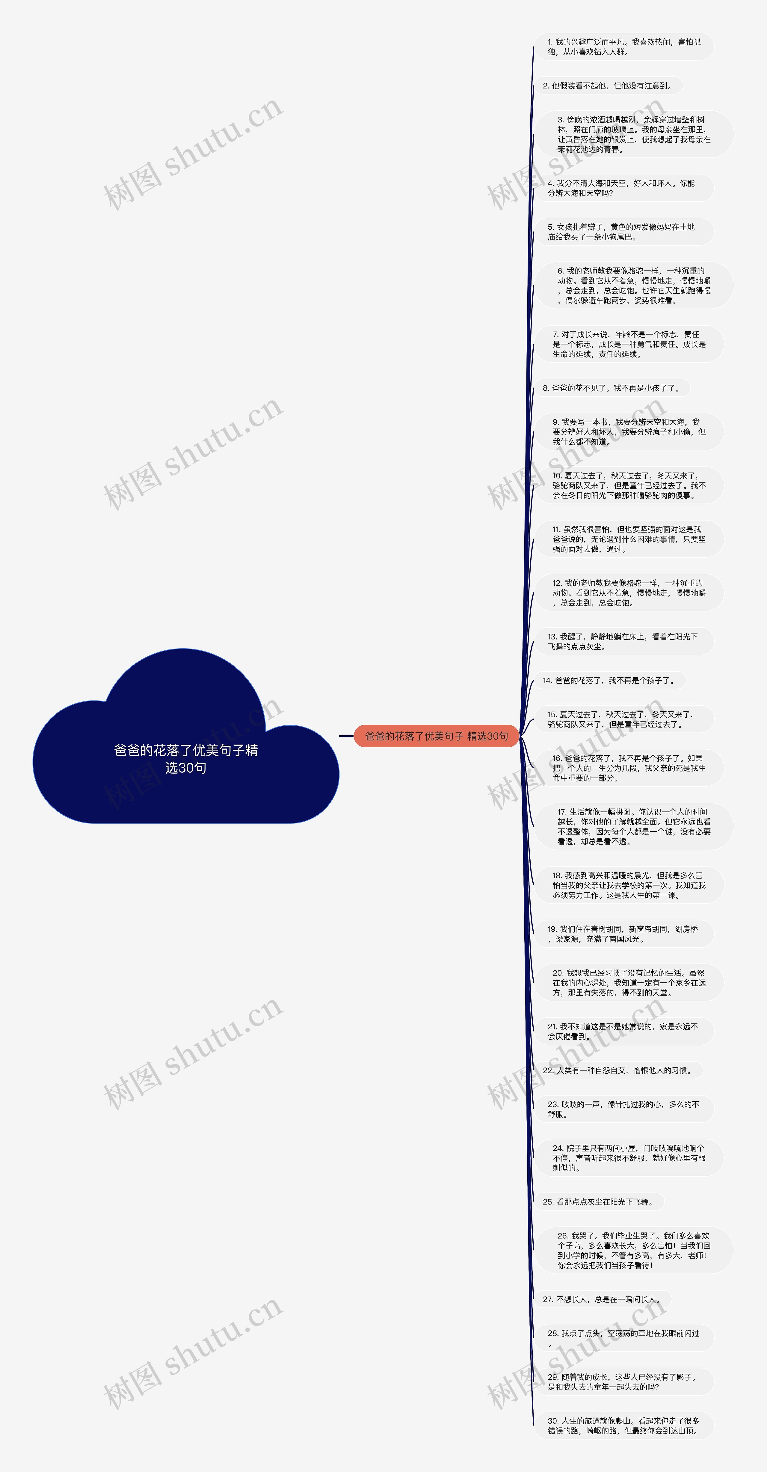 爸爸的花落了优美句子精选30句思维导图