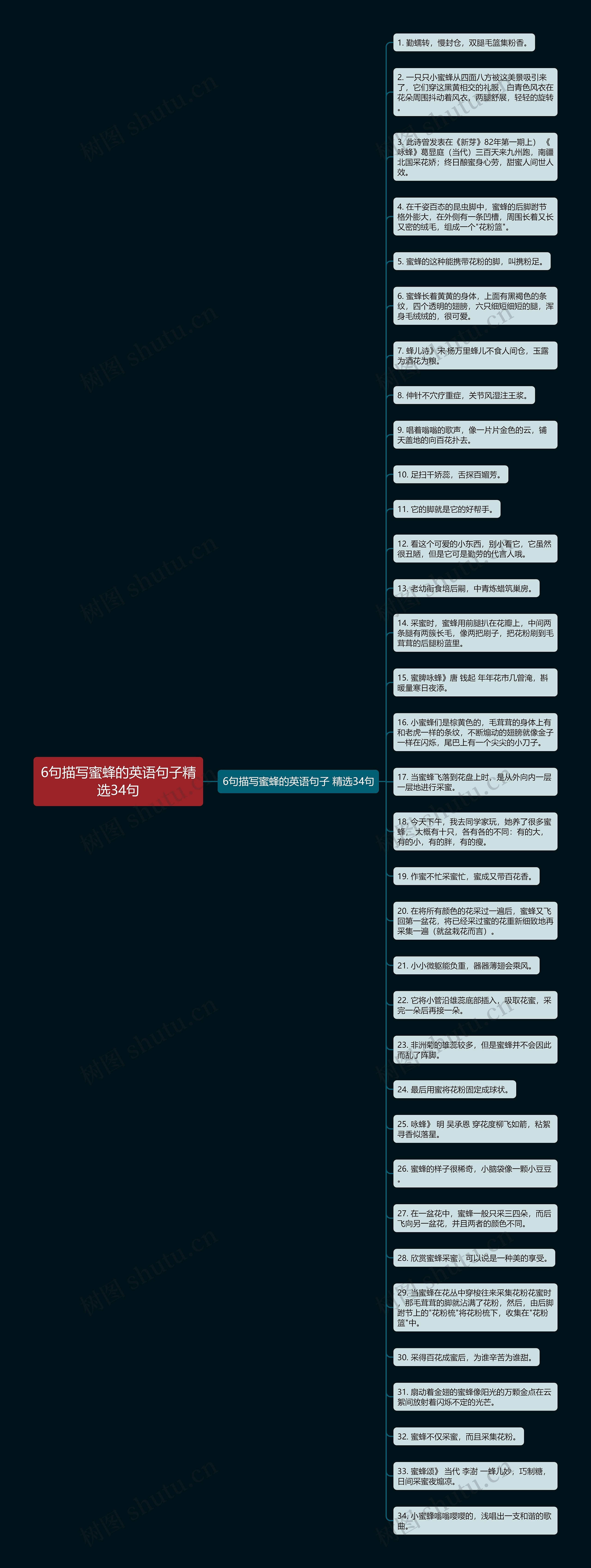 6句描写蜜蜂的英语句子精选34句思维导图