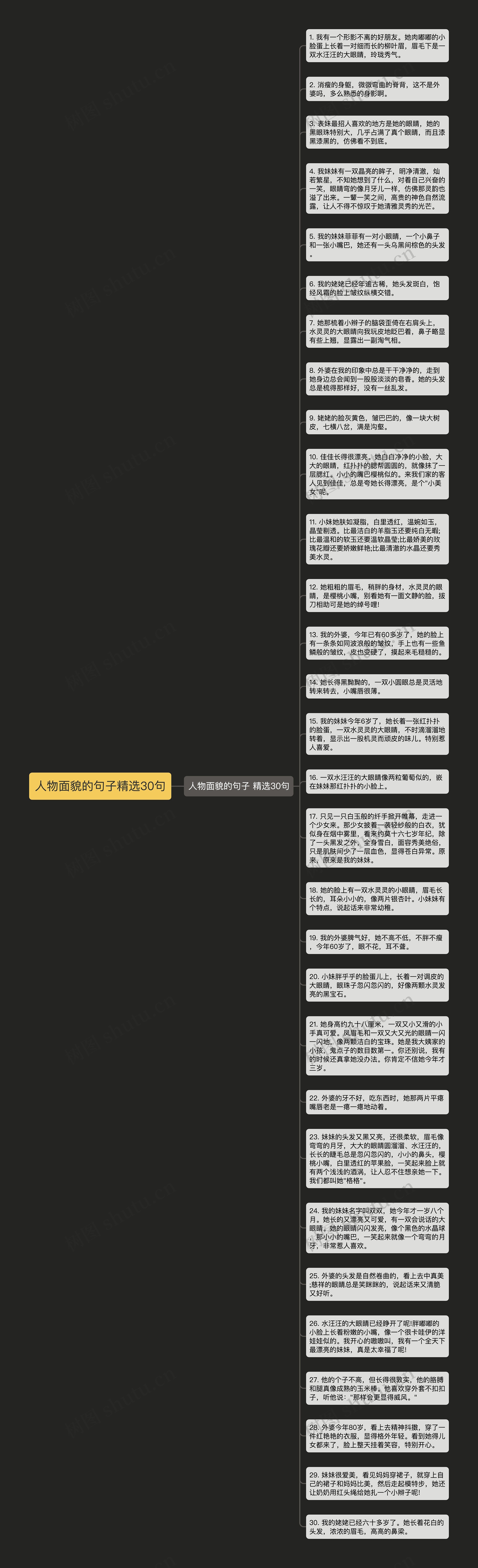 人物面貌的句子精选30句思维导图