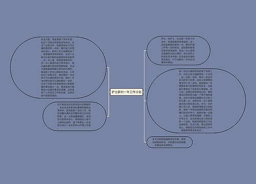 护士新的一年工作计划