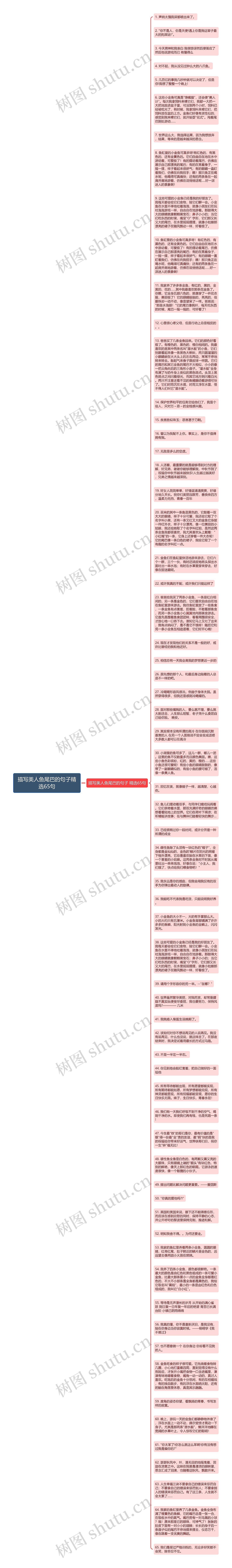 描写美人鱼尾巴的句子精选65句