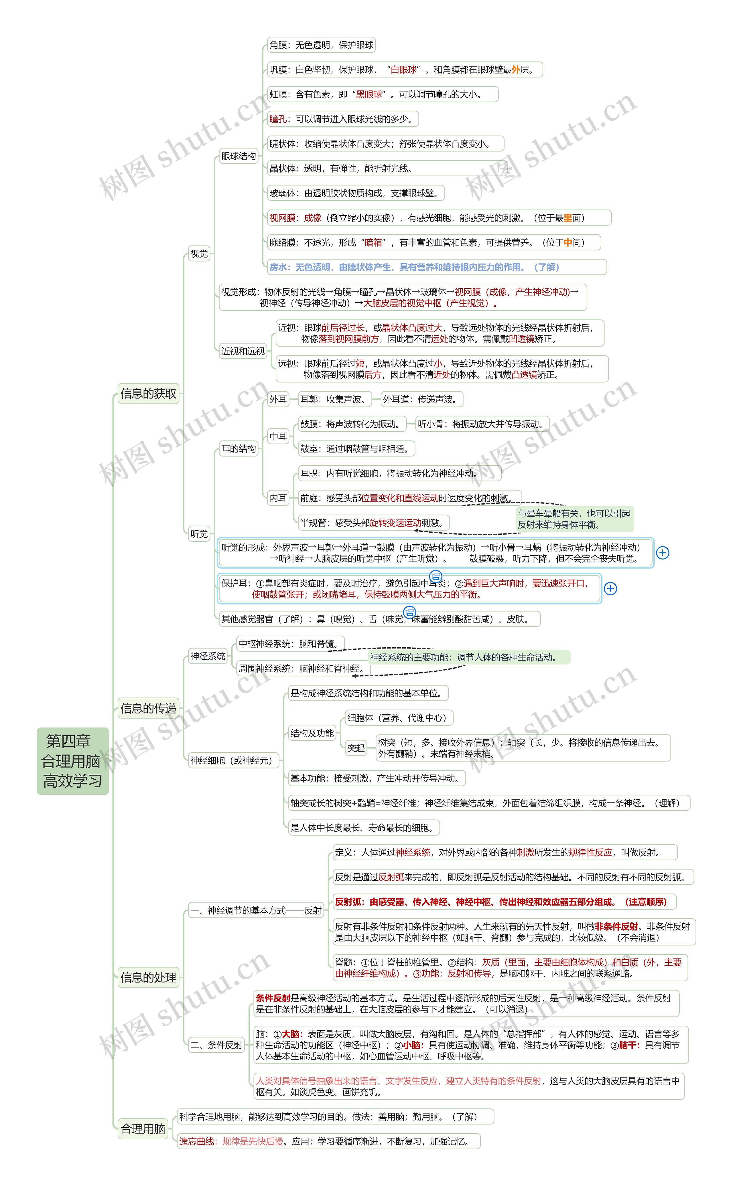 第四章  合理用脑 高效学习