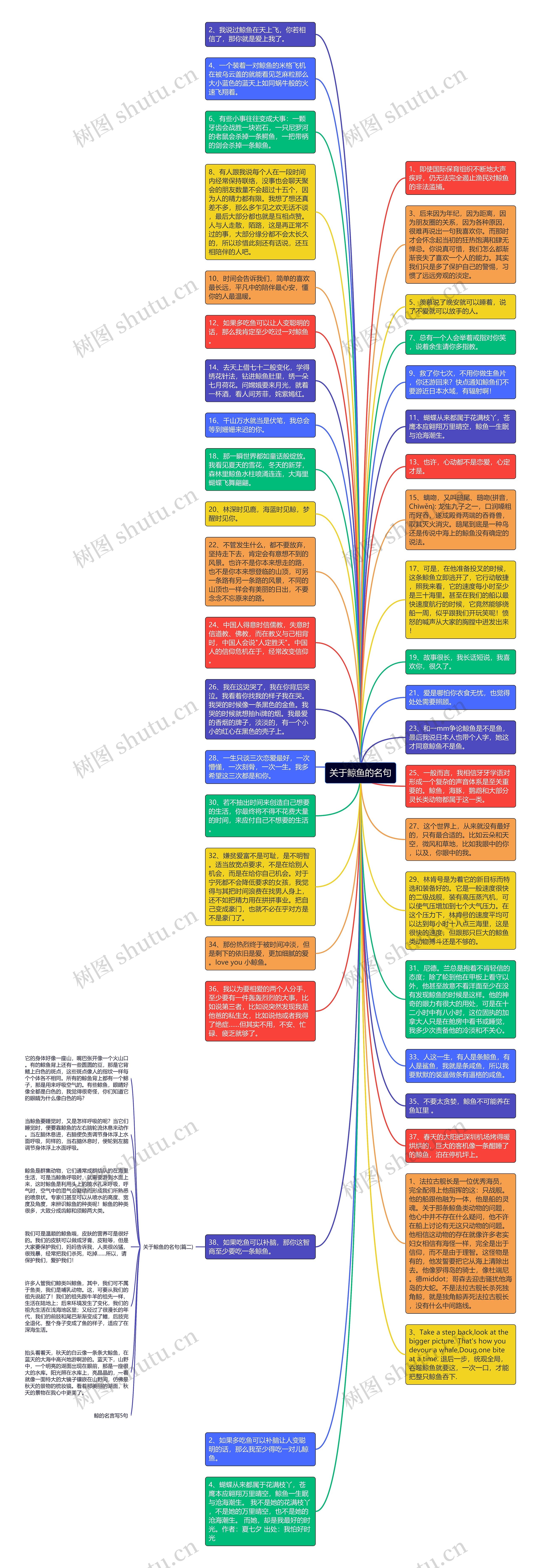 关于鲸鱼的名句思维导图