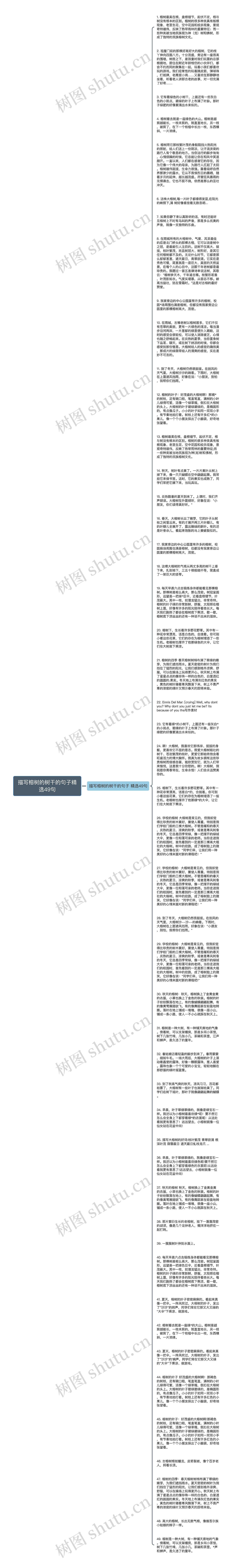 描写榕树的树干的句子精选49句思维导图