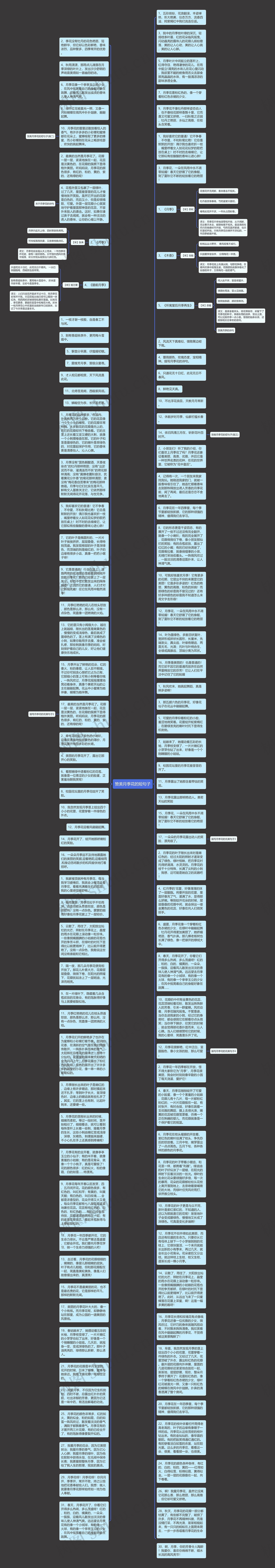 赞美月季花的短句子思维导图