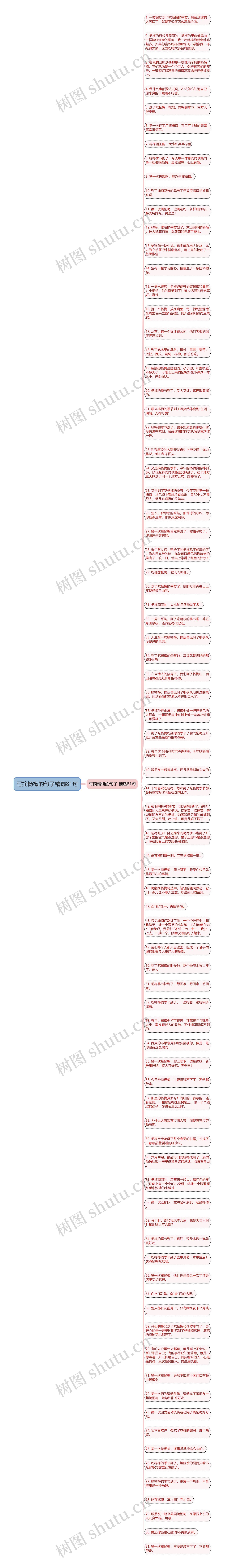 写摘杨梅的句子精选81句思维导图