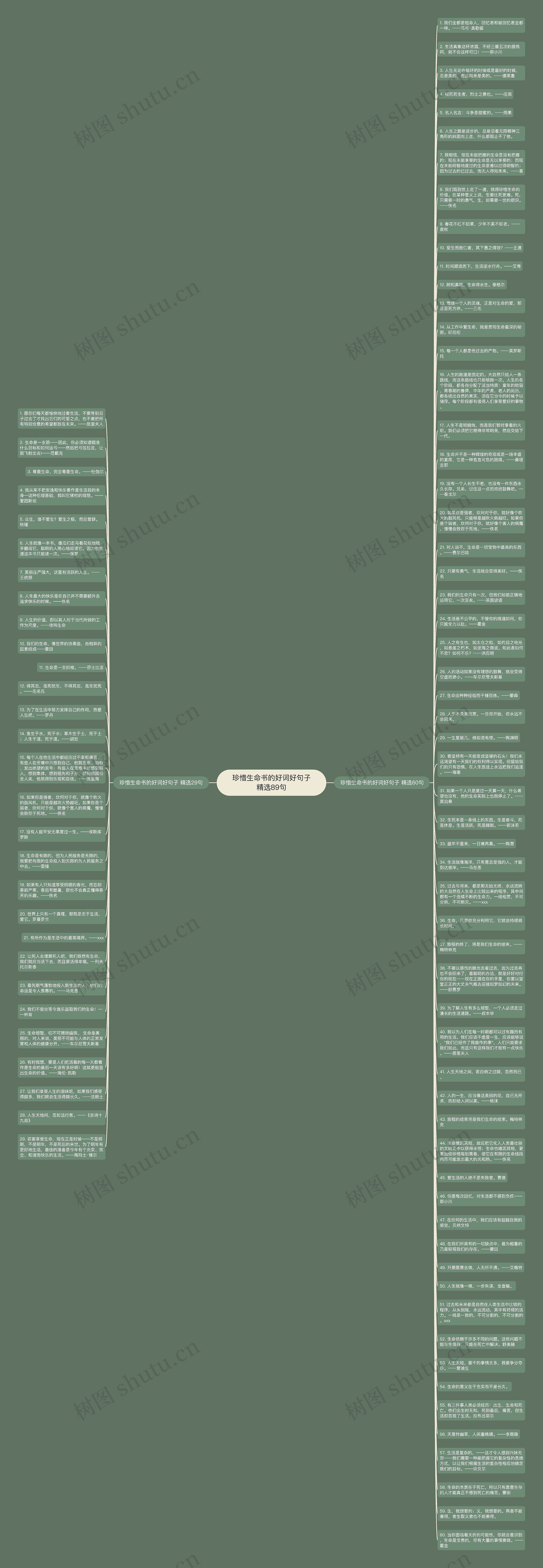 珍惜生命书的好词好句子精选89句思维导图