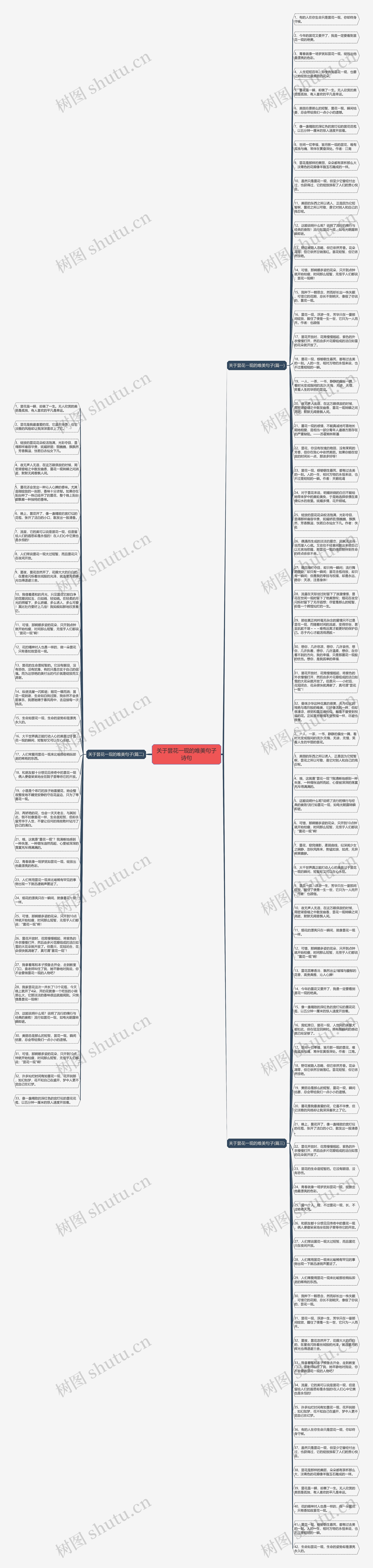 关于昙花一现的唯美句子诗句思维导图