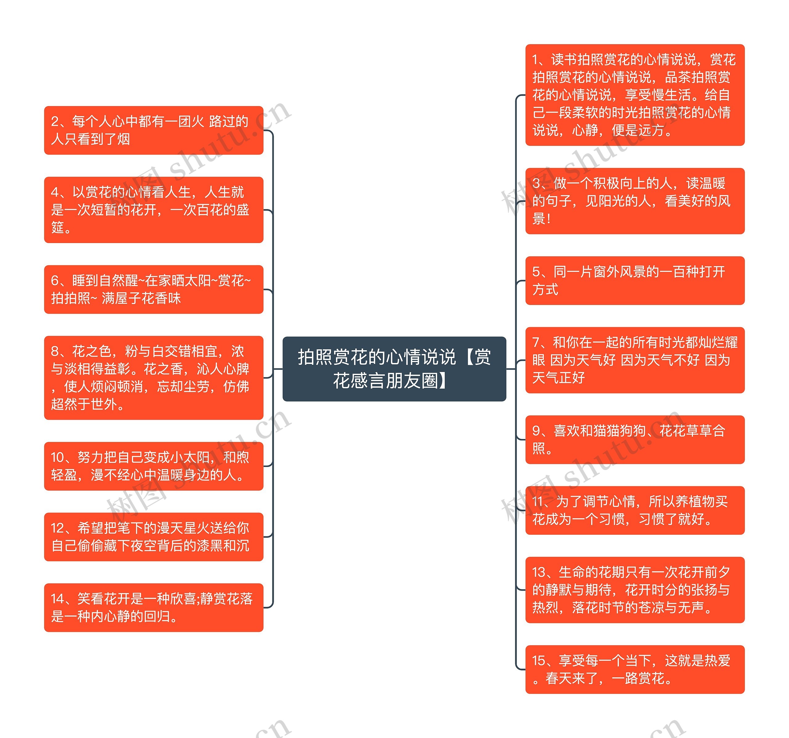 拍照赏花的心情说说【赏花感言朋友圈】