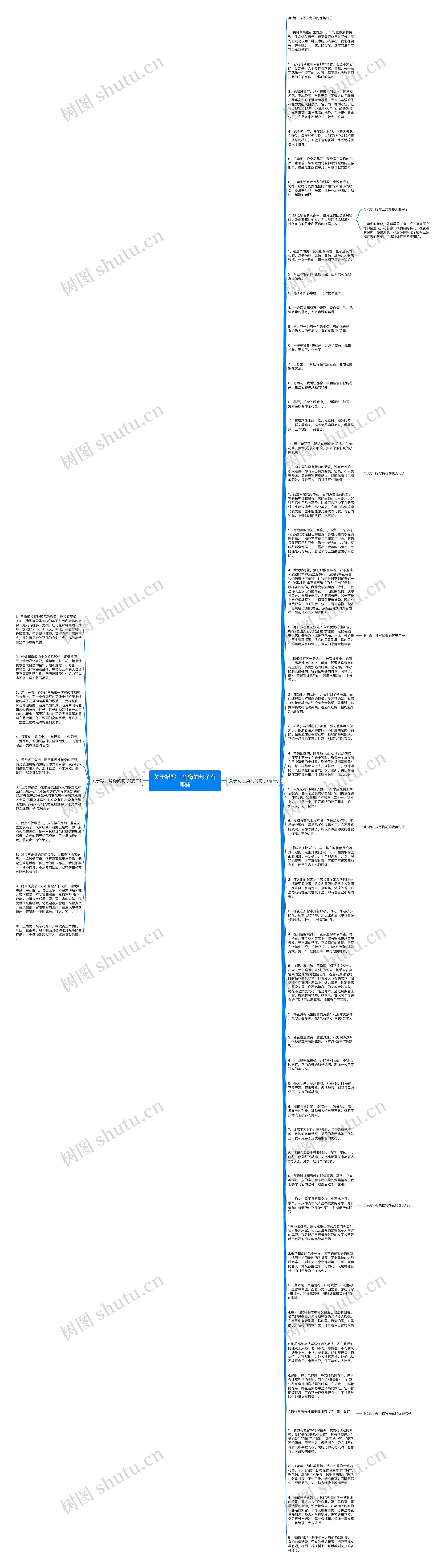 关于描写三角梅的句子有哪些思维导图