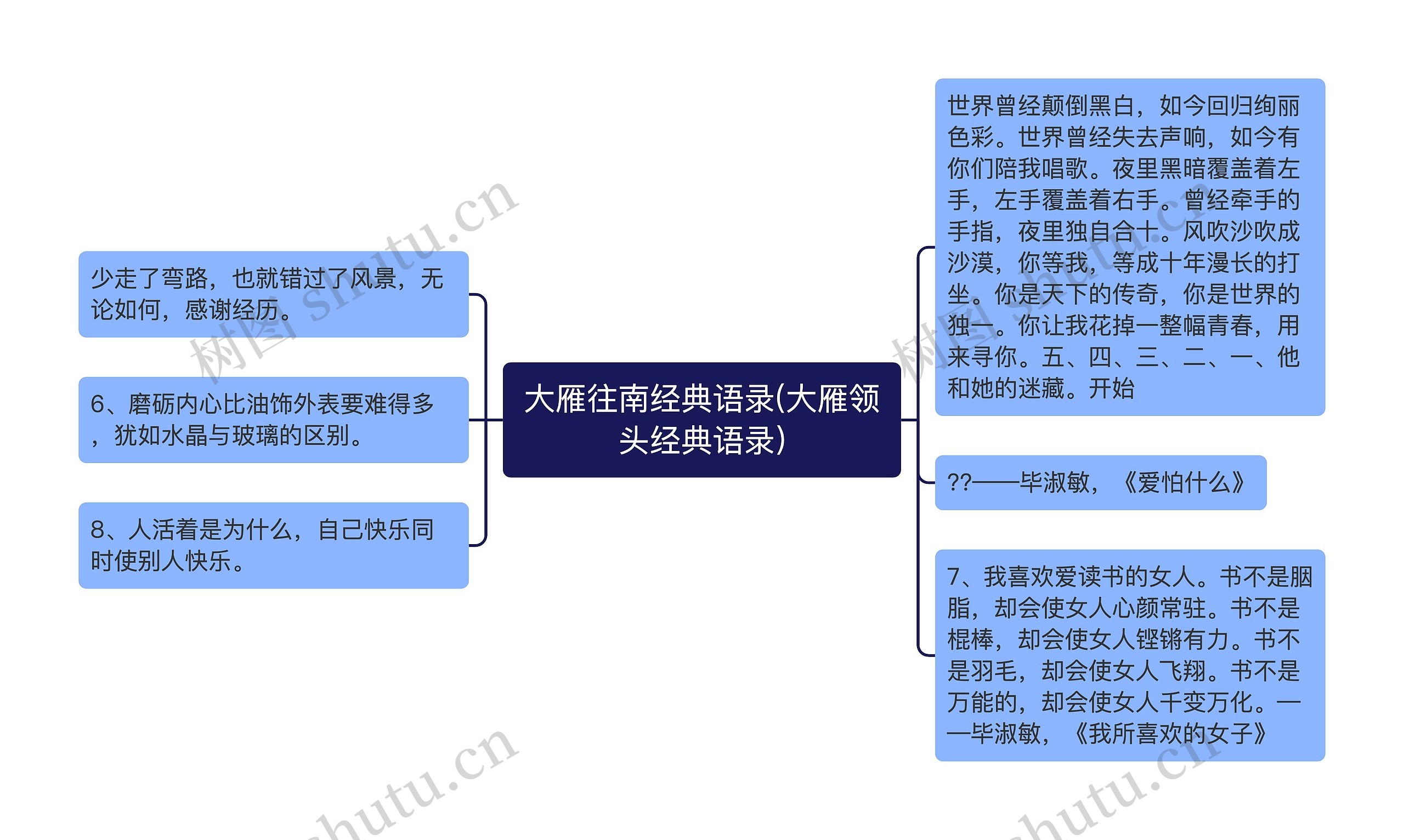 大雁往南经典语录(大雁领头经典语录)思维导图